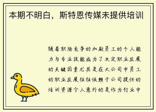 本期不明白，斯特恩传媒未提供培训